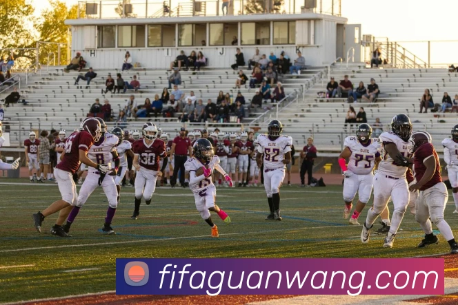 FIFA世界杯官网APP 体育赛事宣传图